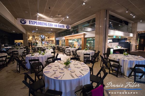 Milwaukee Public Museum