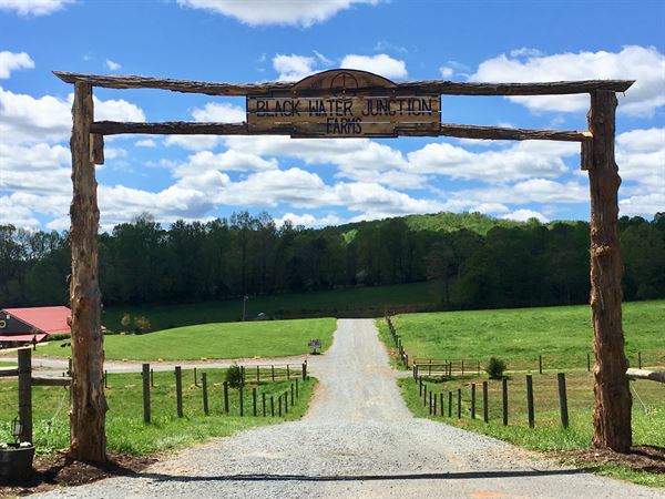 The Pavilion At Black Water Junction