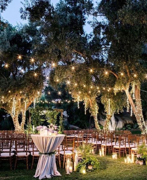 Hummingbird Nest Ranch