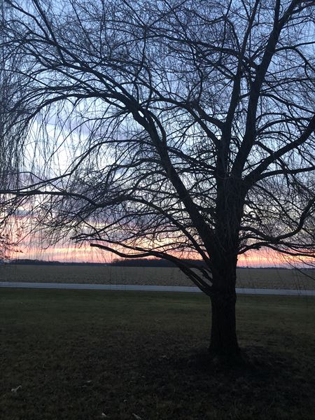 The Christy House - Fremont