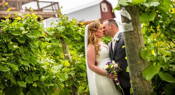 The Vineyard and Brewery at Hershey