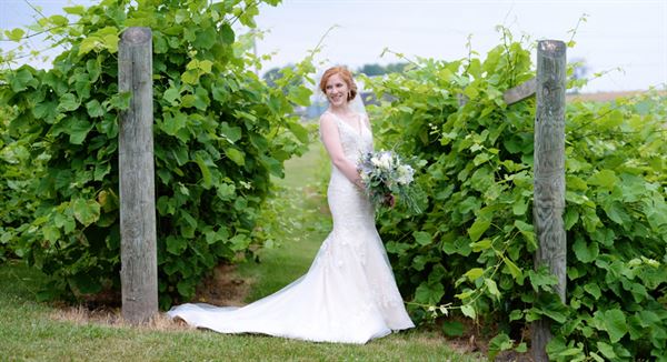 The Vineyard and Brewery at Hershey