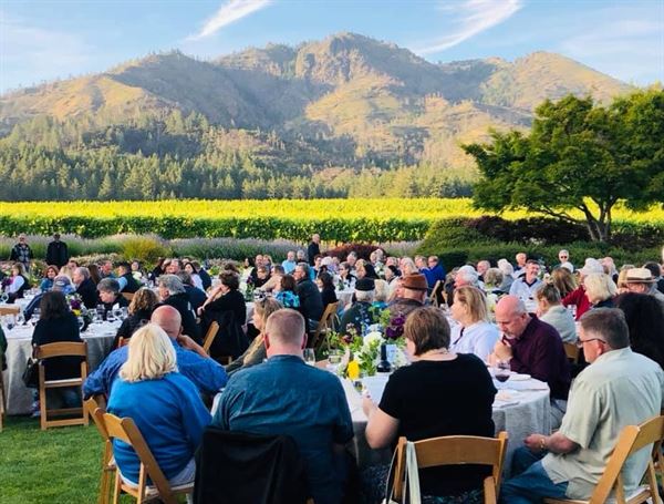 St. Francis Winery & Vineyards