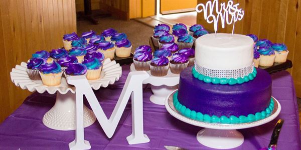 Minnesota Pro DJ - WedPhoria - Willmar