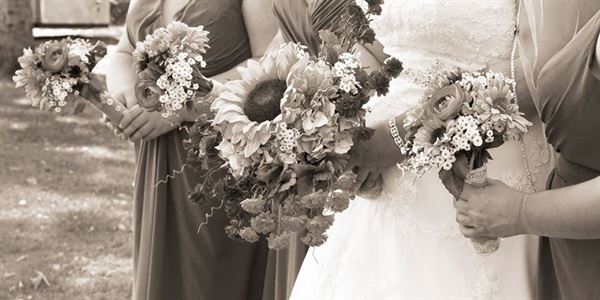 Minnesota Pro DJ - WedPhoria - Willmar