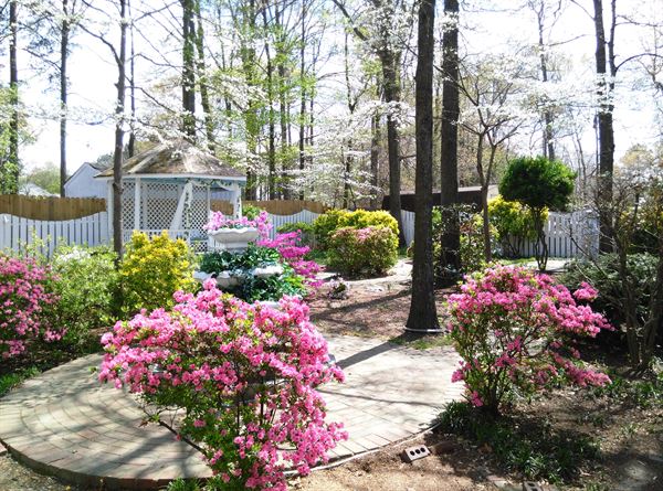 A Little Wedding Garden