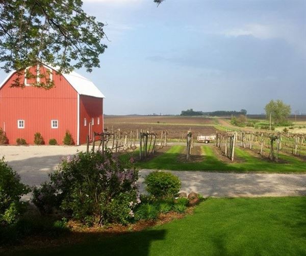 Snus Hill Vineyard and Winery