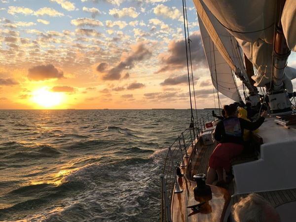 Classic Harbor Line Key West