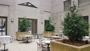 The Terrace Patio