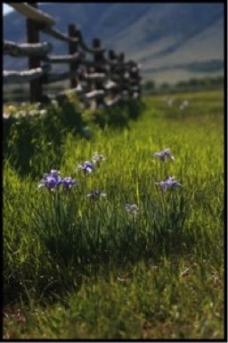 Deerwood Ranch Weddings