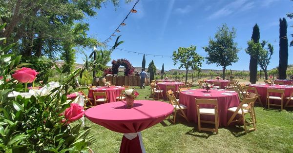 Alcantara Vineyards and Winery