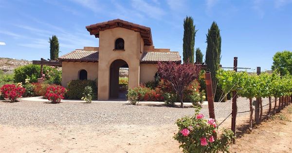 Alcantara Vineyards and Winery