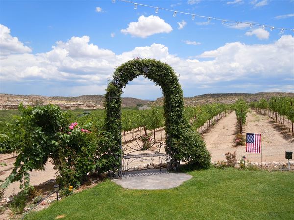 Alcantara Vineyards and Winery