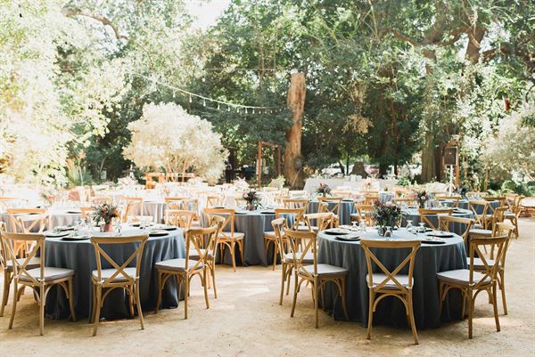 Gale Vineyards and Winery