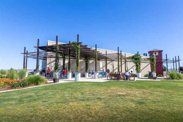 Lindsay Creek Vineyards