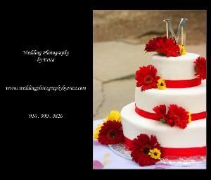 Wedding Photography by Erica