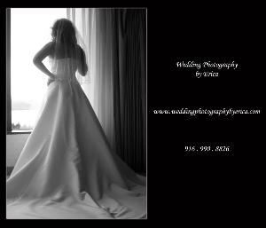 Wedding Photography by Erica