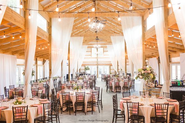 Mountain & Vine Vineyards and Winery