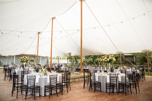 Mountain & Vine Vineyards and Winery