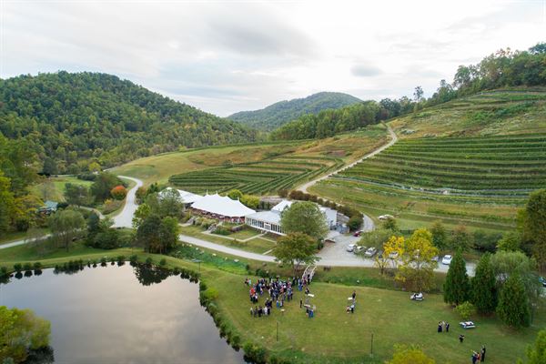 Mountain & Vine Vineyards and Winery