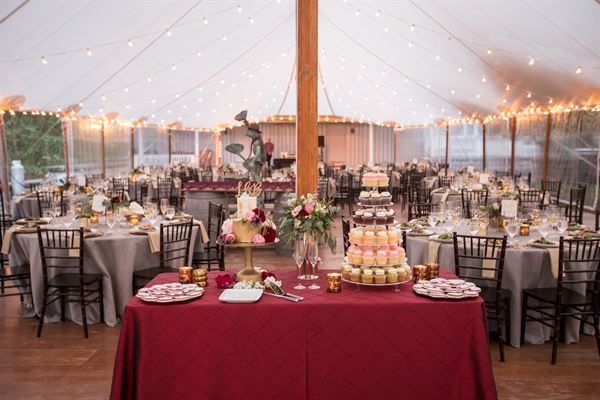 Mountain & Vine Vineyards and Winery