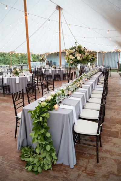 Mountain & Vine Vineyards and Winery