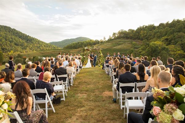 Mountain & Vine Vineyards and Winery