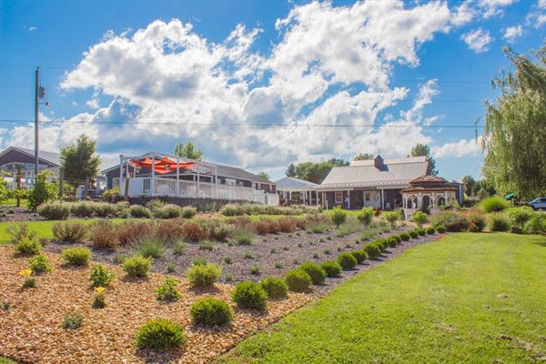 White Oak Lavender Farm