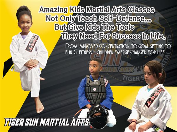TIGER SUN MARTIAL ARTS FRISCO / KARATE TAEKWONDO