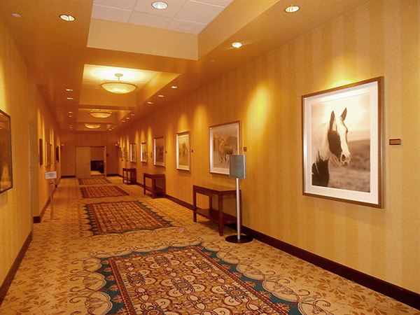 Sky Ute Casino and Resort