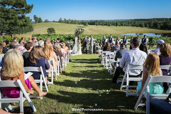 Enoch's Stomp Vineyard & Winery
