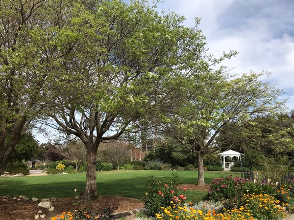 South Coast Botanic Garden