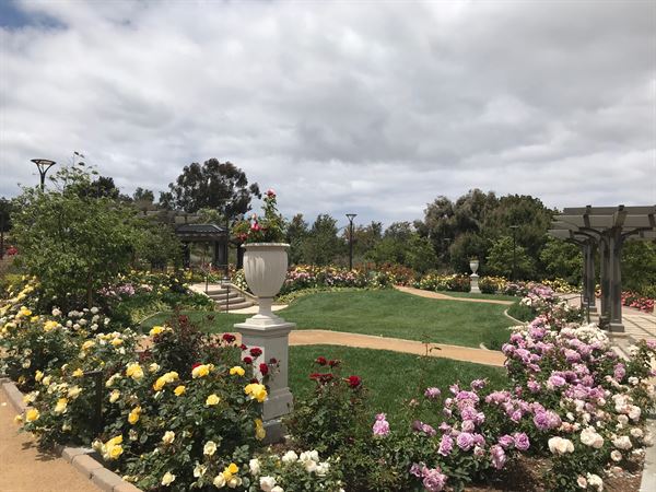 South Coast Botanic Garden