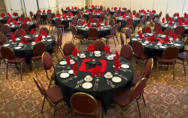 Paradise Inn & Conference Centre - Grande Prairie