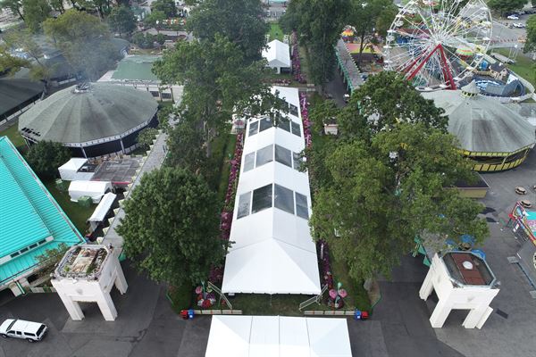 Party Line Tent Rentals