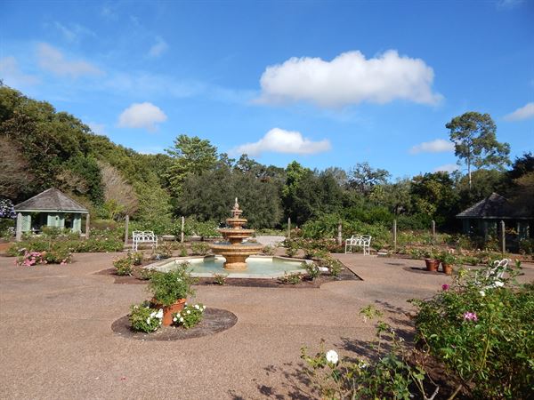 Harry P. Leu Gardens