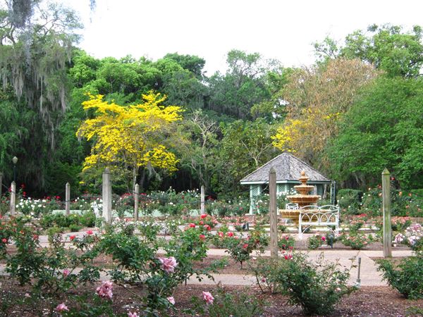 Harry P. Leu Gardens