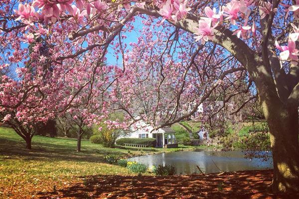 Inn at Whitewing Farm