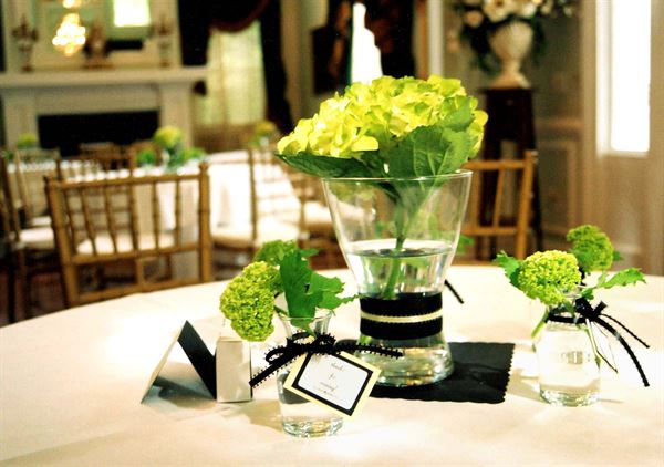 Reggie Parker Photography