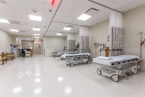 Professional Gynecological Services