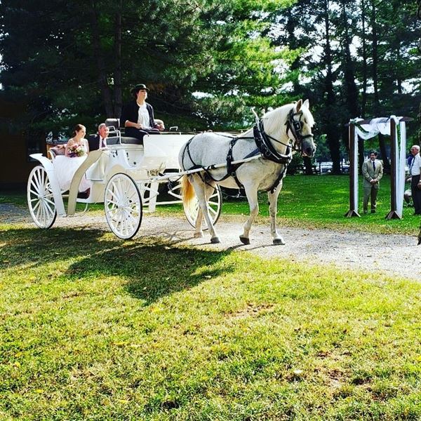 Landis Valley Village & Farm Museum