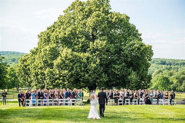 The Manor House at Springton Manor Farm