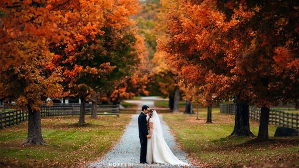 The Manor House at Springton Manor Farm