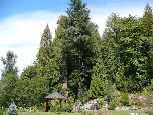 Camp Angelos Conference & Retreat Center