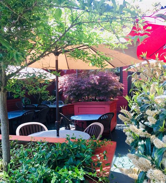 Golden Valley Brewery & Pub