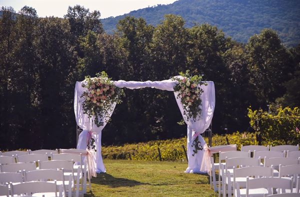 Sharp Mountain Vineyards