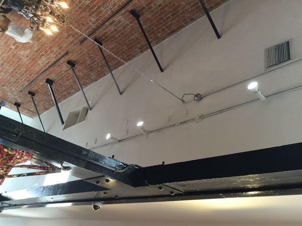 The Electric Connection