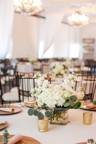 Finley Creek Vineyard