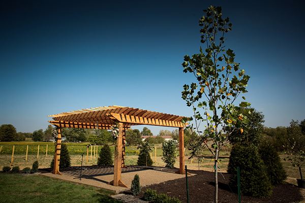 Finley Creek Vineyard