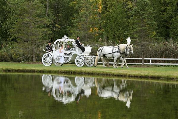 Trillium Trails Events